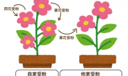 消心痛针剂又叫什么名-硝心痛针说明书网 - 网站提供消心痛针剂又叫什么名小常识、硝心疼和速效救心丸那个更好